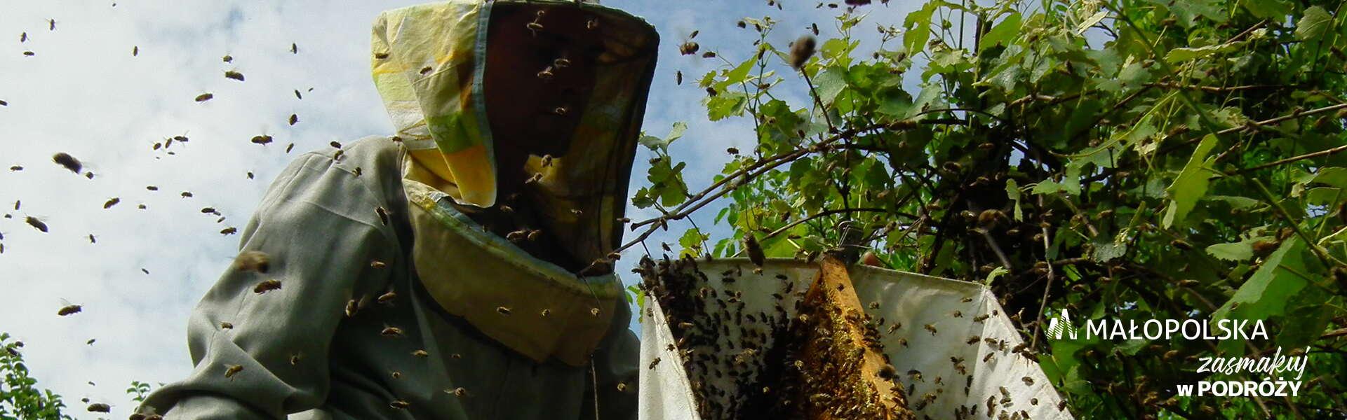 Pszczelarz ubrany w strój ochronny podczas pracy, wokół dużo pszczół, w prawym dolnym rogu logo Małopolski i napis zasmakuj w podróży