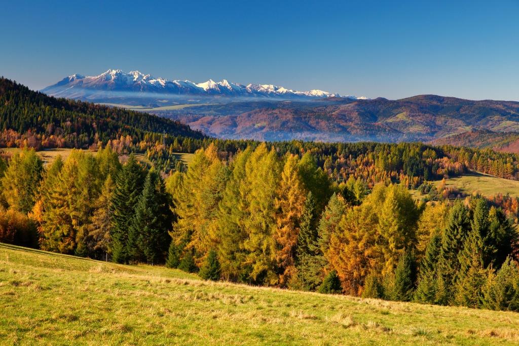 Beskid Sądecki Wierchomla