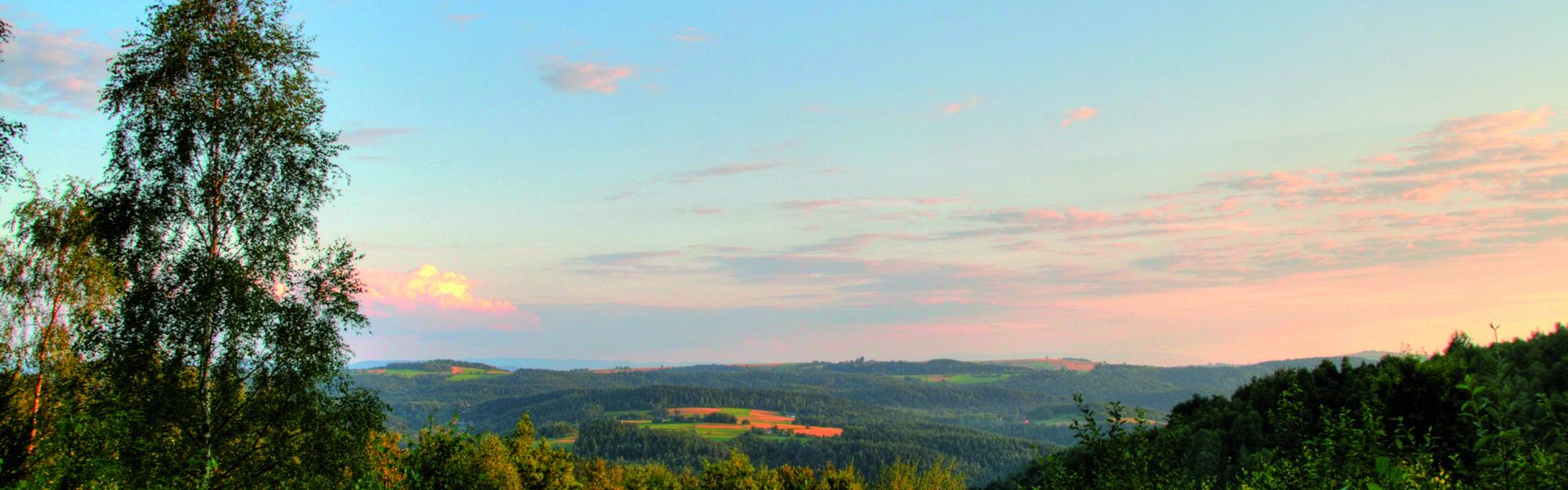 Panorama ze wzgórza pokrytego krzewami, z wysokim drzewem iglastym po lewej, po środku z mieszanym lasem, po prawej z ciemnym wzgórzem, na wzgórza w oddali zalesione, pomiędzy lasami łąki i pola. U góry chmury oświetlone zachodzącym słońcem i wyżej błękitne niebo.