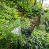 Image: Pieniny Castle Ruins in Krościenko nad Dunajcem