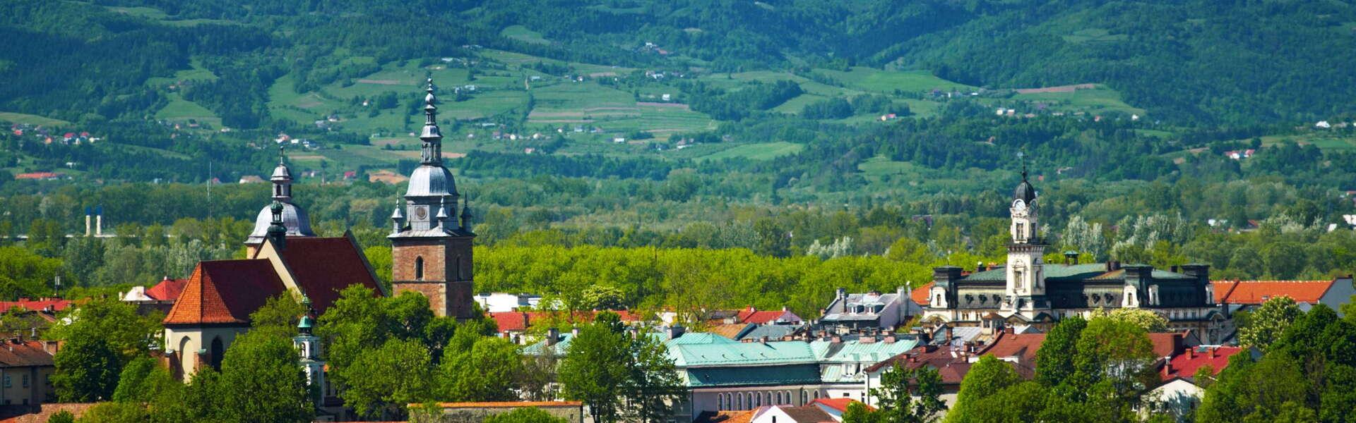 Widok na panoramę Nowego Sącza. Dachy budynków pomiędzy drzewami. Po lewej wyłaniają się dwie różne wieże kościoła, po prawej pośród innych budynków widać wysoką, pojedynczą wieżę. Z tyłu wzgórza i małe wioski. W tle ośnieżone szczyty wysokich gór pod gęsto zachmurzonym niebem.