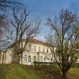 Image: The Sanguszko Palace (The Warm Pole), Tarnów